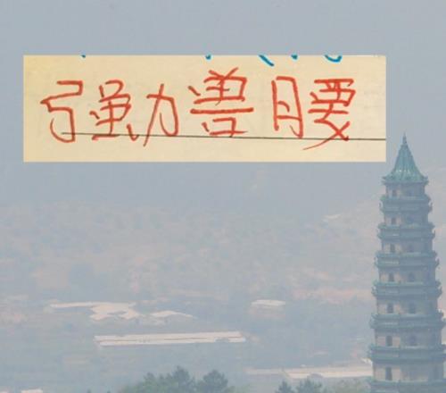 杜锋战绩惊,胜仅,远超想象,欧博体育,欧博体育app,欧博体育官网,欧博体育下载,欧博体育入口